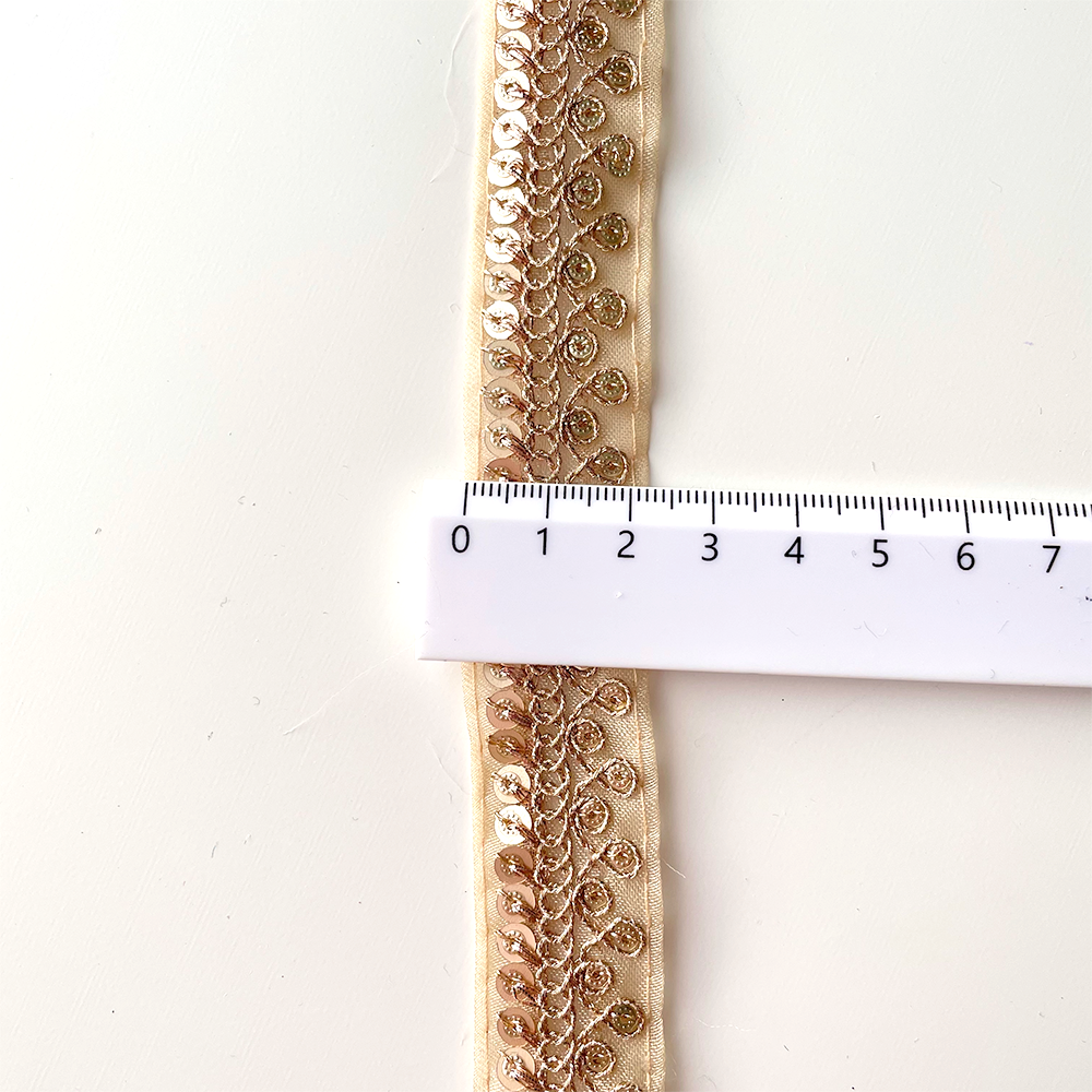 587 【 幅：2.5cm 】 インド刺繍リボン　ゴールド　オーガンジー　