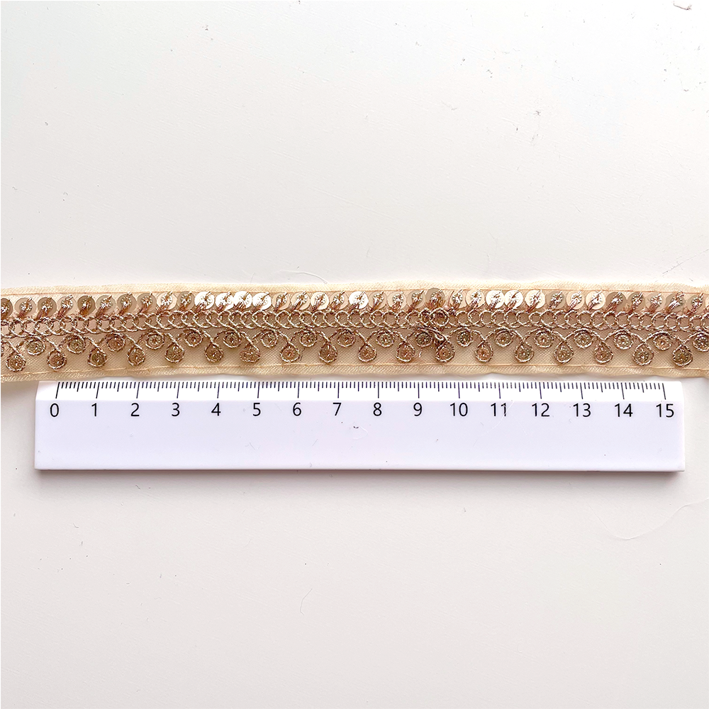 587 【 幅：2.5cm 】 インド刺繍リボン　ゴールド　オーガンジー　