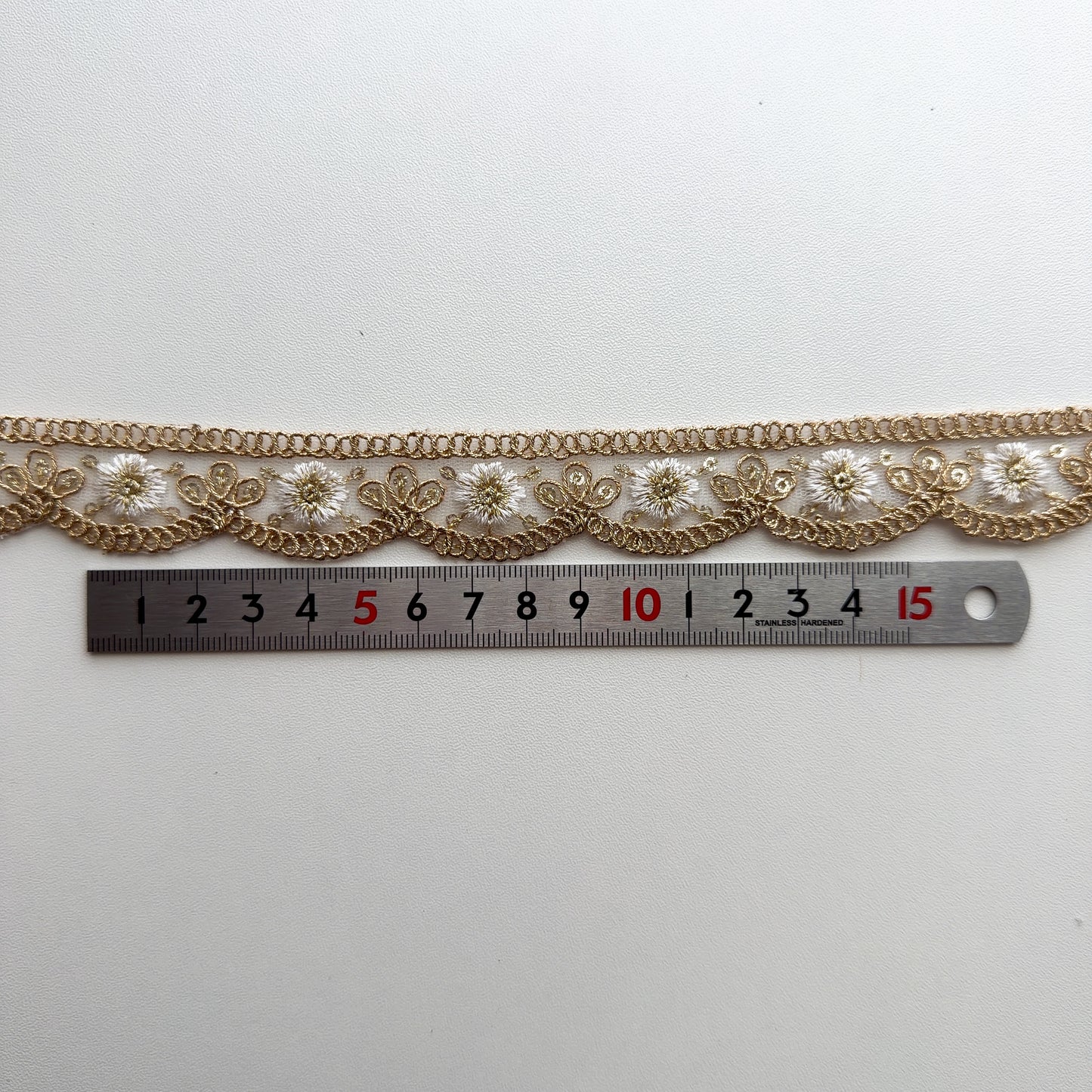 S375 インド刺繍リボン 2.5cm幅 チュール ザリ